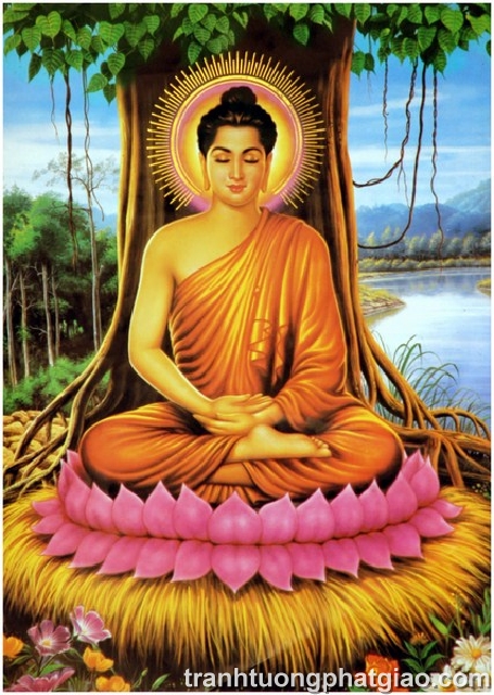 Bổn Sư Thích Ca Mâu Ni Phật (136)